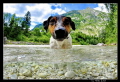   beautiful river Soca ...Nikon D90 tokina 1017mm Nauticam housing Nikon 10-17mm, 1017mm, 10 17mm,  